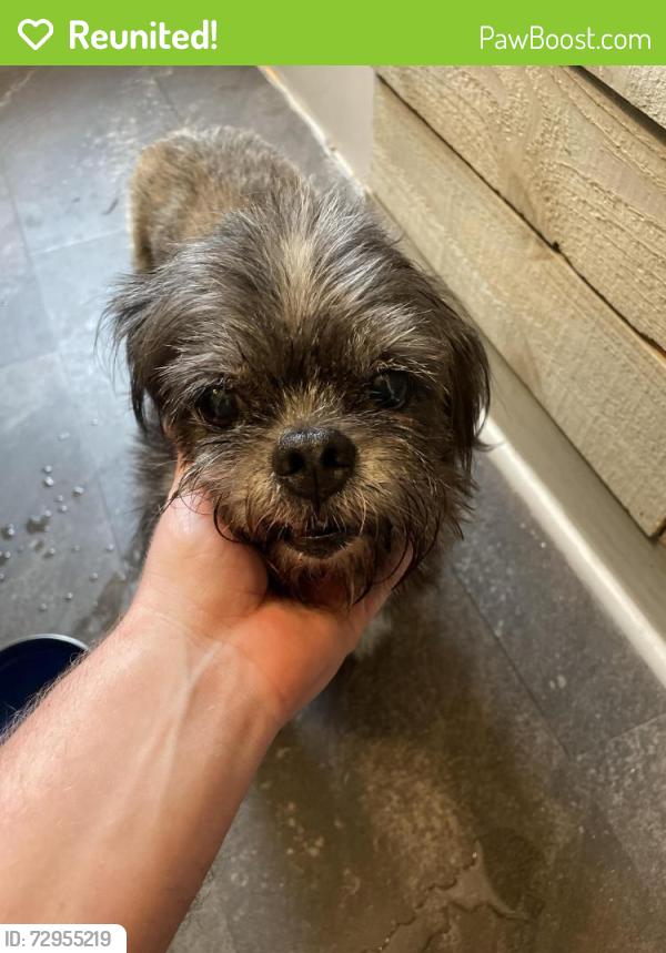 Reunited Unknown Dog last seen S Brooks @ Brainerd, Chattanooga, TN 37411