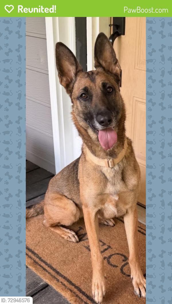 Reunited Female Dog last seen Wimberly Way, Georgia 30127, USA, Paulding County, GA 30127