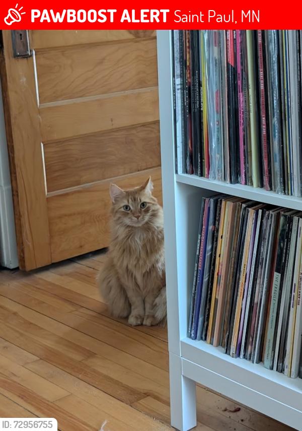 Lost Male Cat last seen On Ohio between Page and Morton, Saint Paul, MN 55107
