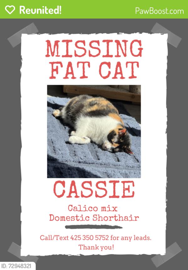 Reunited Female Cat last seen Cathcart way, Snohomish, WA 98296