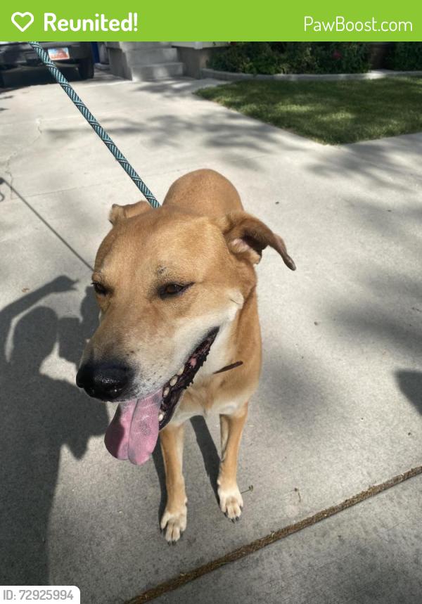 Reunited Male Dog last seen Near east 2700 wputh, Salt Lake City, UT 84106