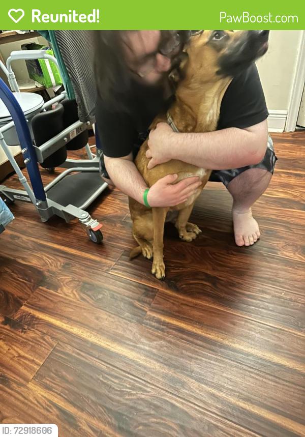 Reunited Male Dog last seen Country Corner/ post office in Alexis, NC, Lincoln County, NC 28080