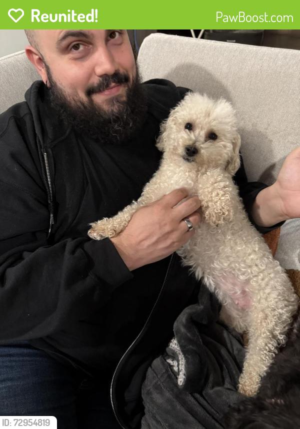 Reunited Female Dog last seen Near Somerset Rd Lewisville TX, Lewisville, TX 75067