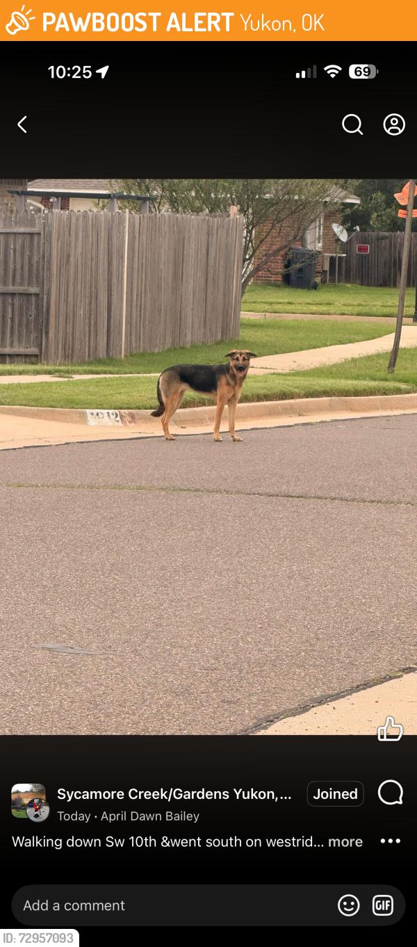 Found/Stray Unknown Dog last seen 12th and Westridge, Yukon, OK 73099