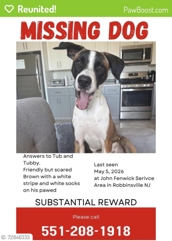 Reunited Male Dog last seen New the NJ turnpike , Robbinsville Township, NJ 08691