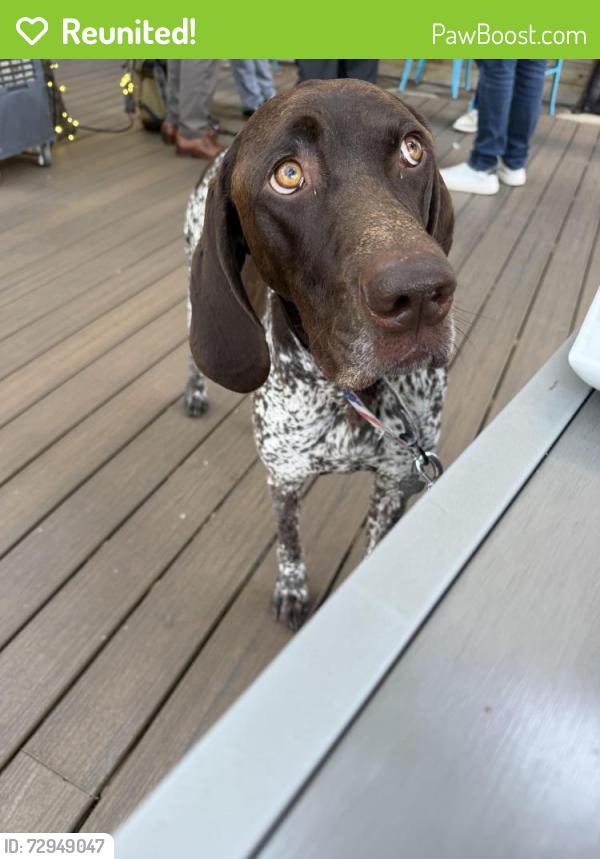 Reunited Male Dog last seen Autumn lake neighborhood , Bryan, TX 77807