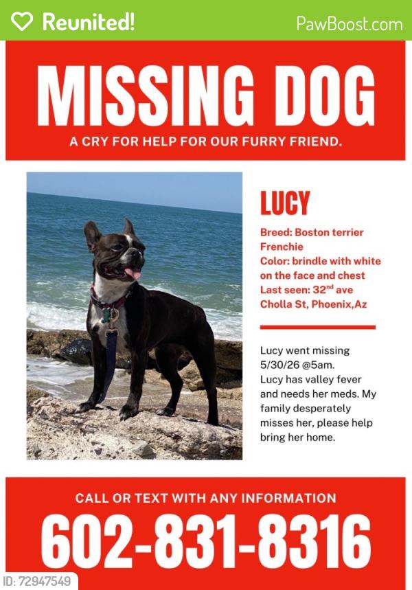 Reunited Female Dog last seen 32nd ave and cholla, Phoenix, AZ 85029