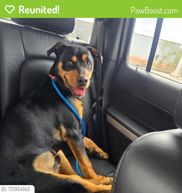 Reunited Male Dog last seen Tuxedo and Brainerd Road, Chattanooga, TN 37411
