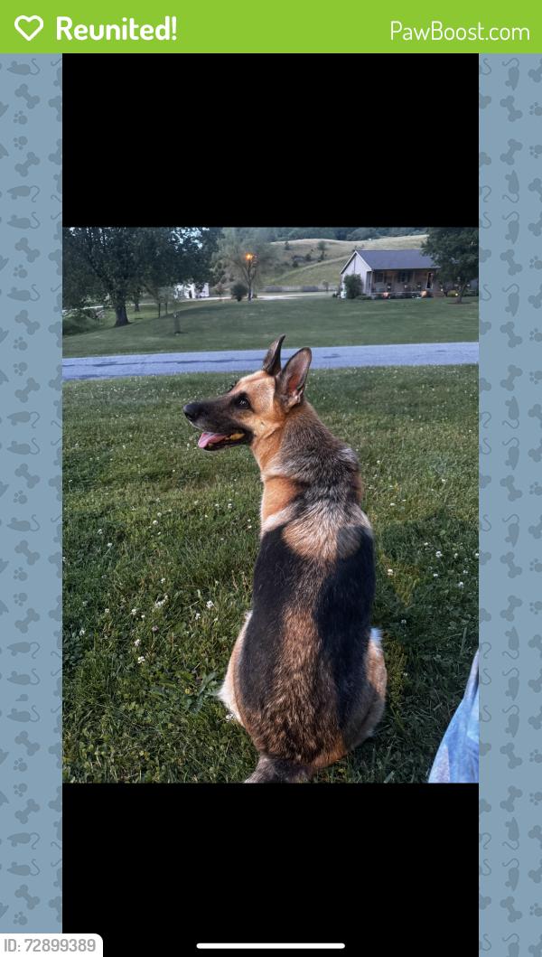 Reunited Male Dog last seen Near trace creek road and fudges creek road, Salt Rock, WV 25559