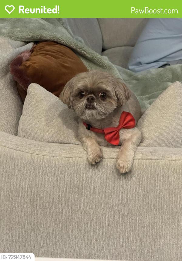 Reunited Male Dog last seen Herts , Spring, TX 77379