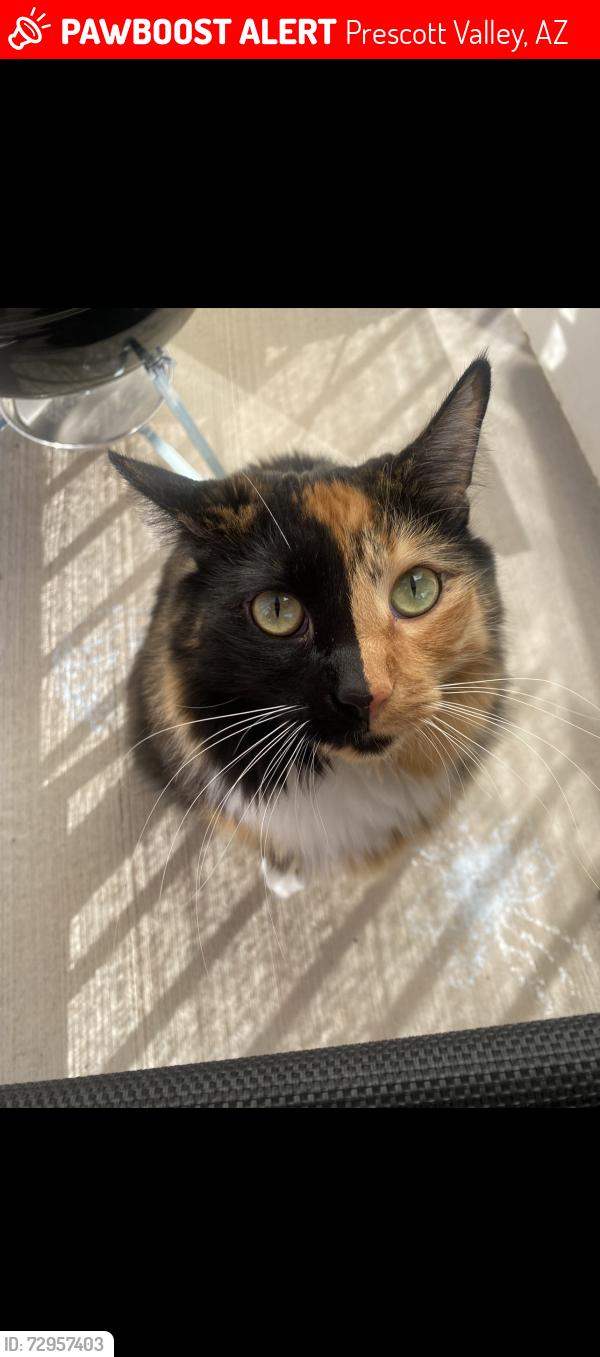 Lost Female Cat last seen Windsong, Prescott Valley, AZ 86314