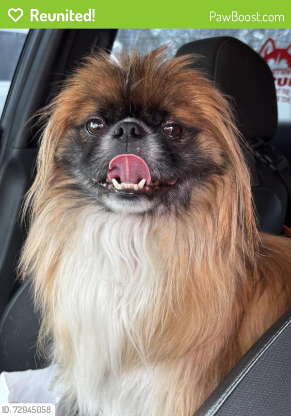 Reunited Unknown Dog last seen Gemstone Circle, Chattanooga, TN 37421