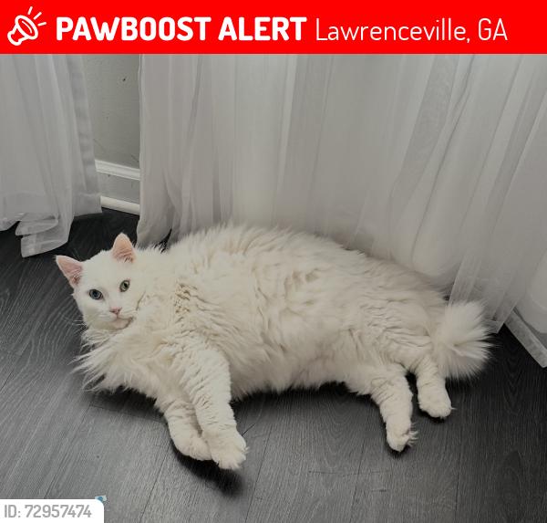 Lost Male Cat last seen Old norcoss, Lawrenceville, GA 30044