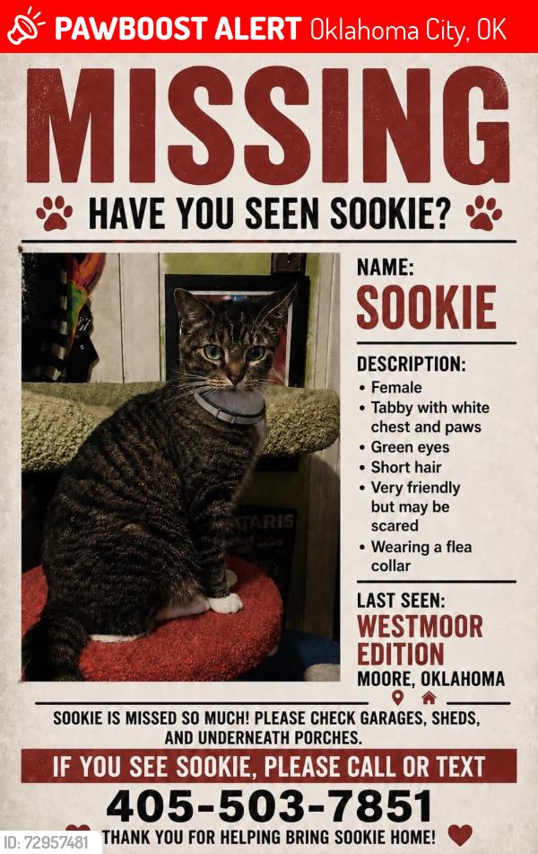 Lost Female Cat last seen SW 19th and Santa Fe, Oklahoma City, OK 73170