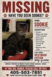 Lost Female Cat last seen SW 19th and Santa Fe, Oklahoma City, OK 73170