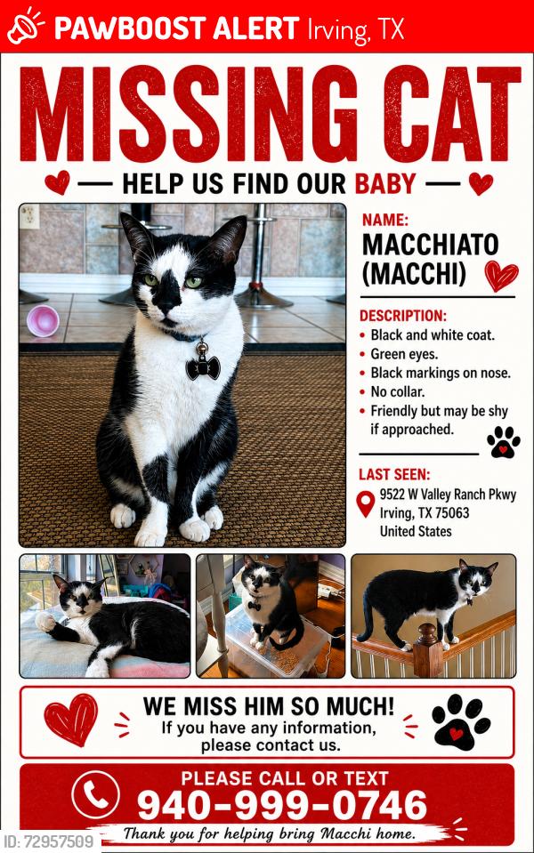 Lost Male Cat last seen The c , Irving, TX 75063