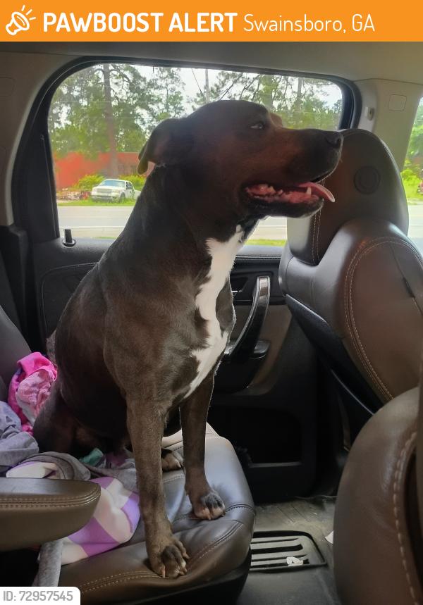 Found/Stray Female Dog last seen Swainsboro, Swainsboro, GA 30401