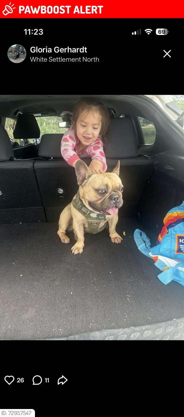Lost Male Dog last seen Clifford st, White Settlement, TX 76108