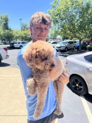 Reunited Unknown Dog last seen 116th and Brookschool Rd, Fishers, IN 46037