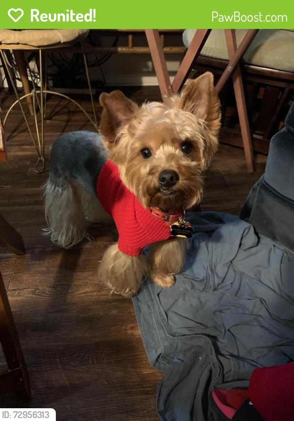 Reunited Male Dog last seen Near Osage Ct, Arlington, TX 76018, USA, Arlington, TX 76018