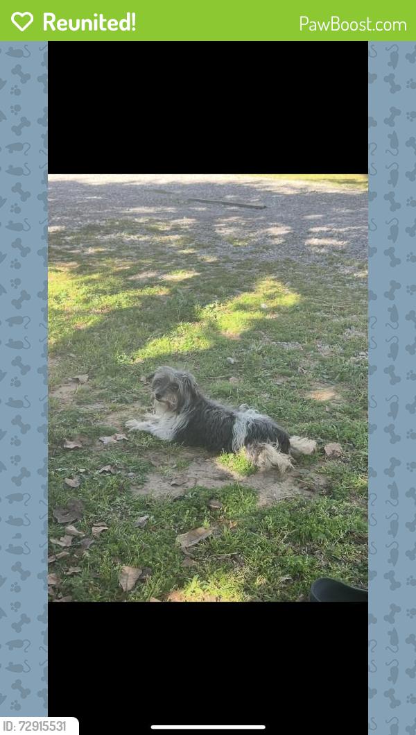 Reunited Female Dog last seen Near Wagonwheel Ct, Azle, TX 76020, USA, Azle, TX 76020