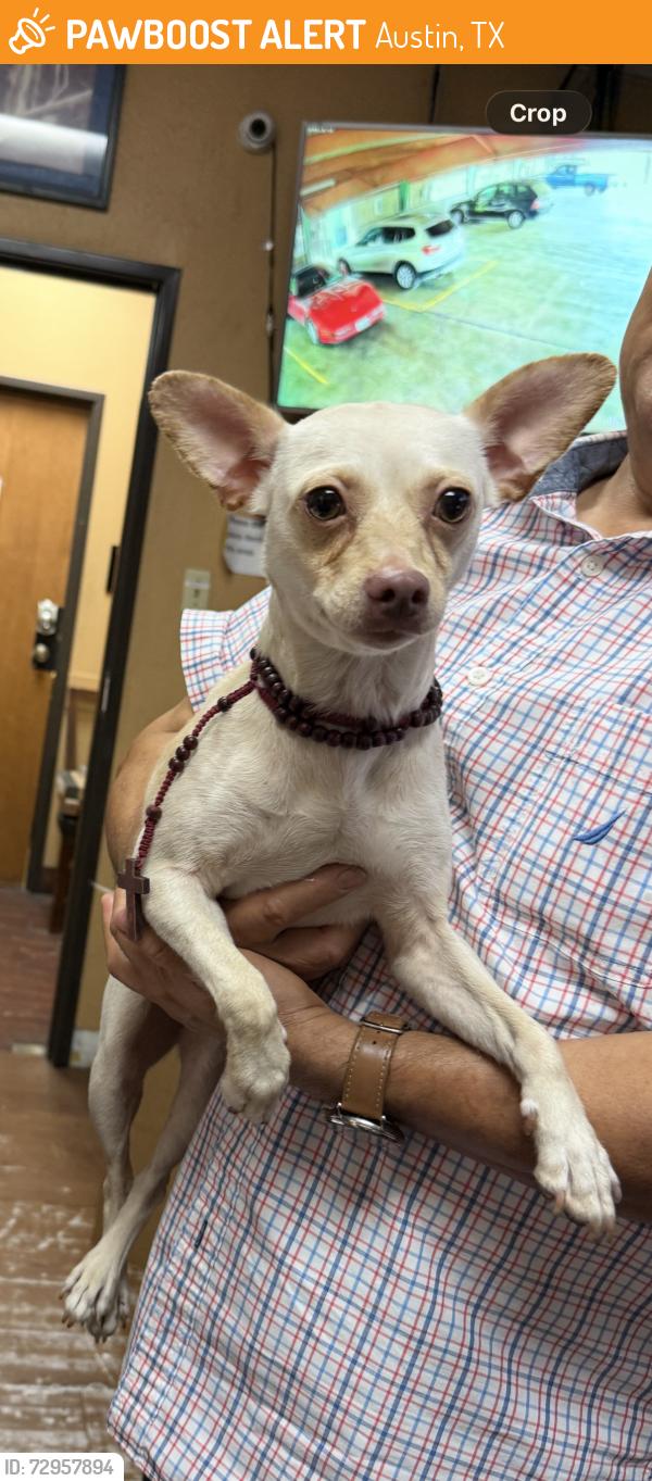 Found/Stray Female Dog last seen Oltorf and Pleasant Valley , Austin, TX 78741