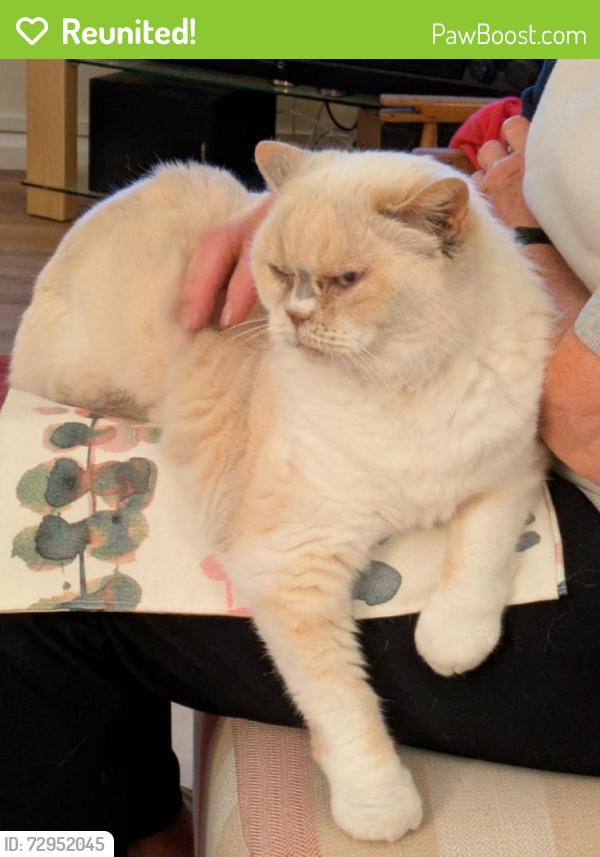 Reunited Female Cat last seen North end of Orchard Road, near Waterlane, Melbourn, England SG8 6BB