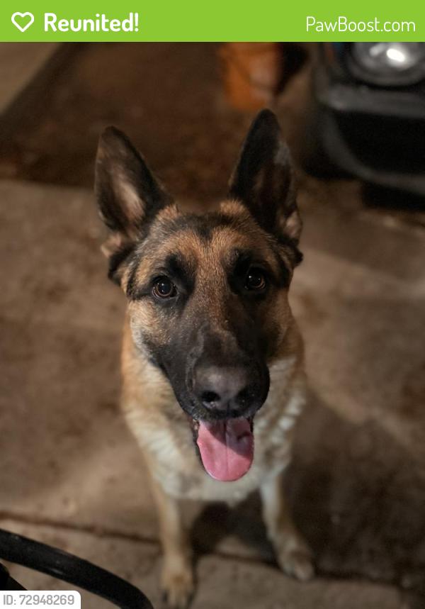 Reunited Male Dog last seen 4th Street and Candelaria , Albuquerque, NM 87107