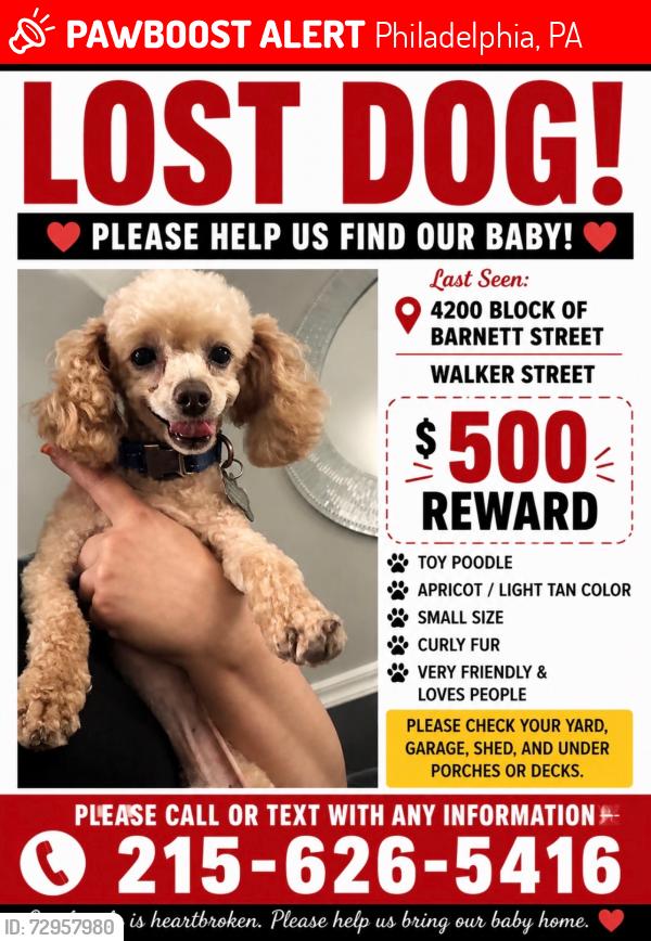 Lost Male Dog last seen Barnett st and walker st, Philadelphia, PA 19135