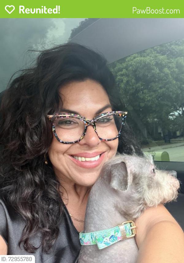 Reunited Female Dog last seen Yale and lakeside, Lake Worth Beach, FL 33460