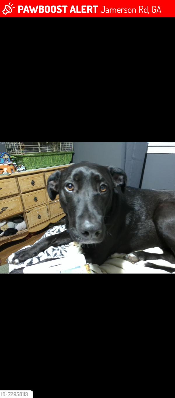 Lost Female Dog last seen Jamerson road near Kell high school , Jamerson Rd, GA 30066