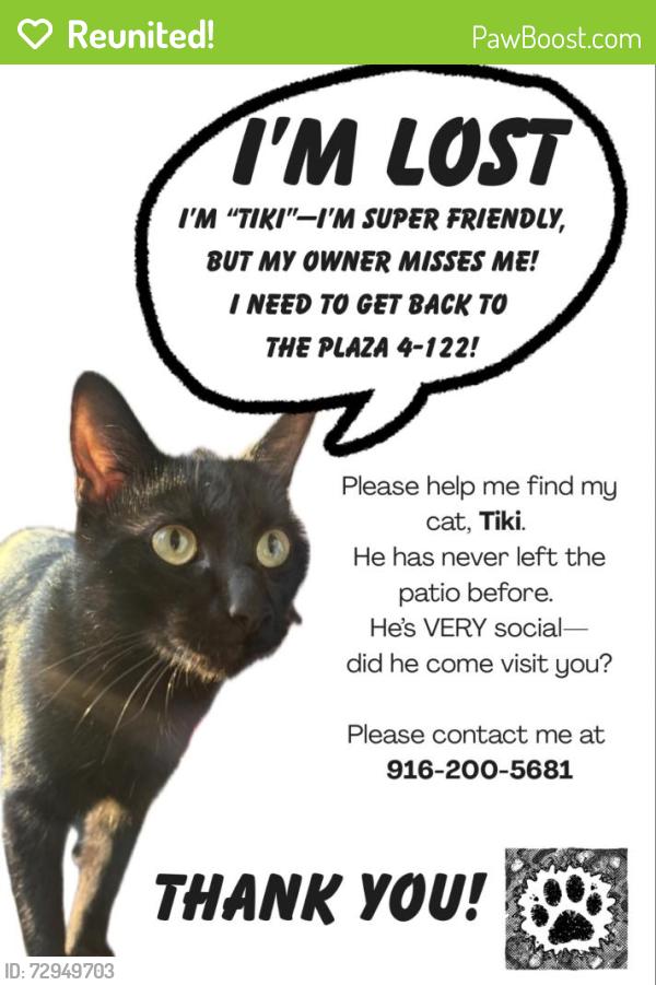 Reunited Male Cat last seen The Plaza in Pacific Beach , San Diego, CA 92109