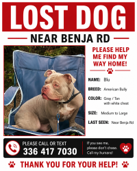 Lost Male Dog last seen Near benaja rd close to us29, Rockingham County, NC 27320