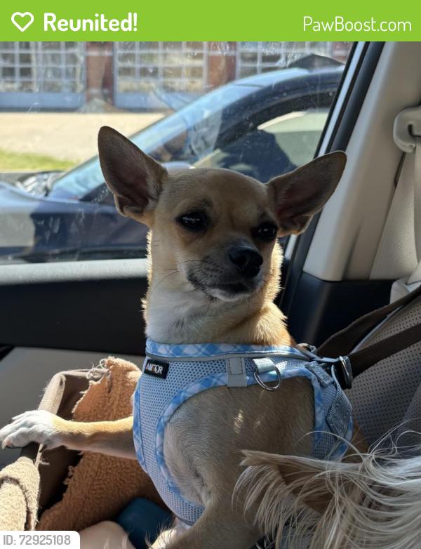 Reunited Unknown Dog last seen Sonic, White House, TN 37188