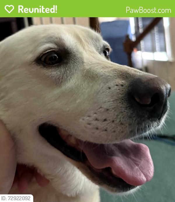 Reunited Female Dog last seen Found at the RaceTrac at 906 Pleasant Hill Rd (Pleasant Hill & Cruse), Lawrenceville GA., Norcross, GA 30092
