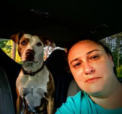 Lost Female Dog last seen She could be in nc for she is not lost but someone stole her and they have ties in nc, Round O, SC 29474