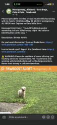 Lost Female Dog last seen Near Carol Villa Dr, Montgomery, AL 36109