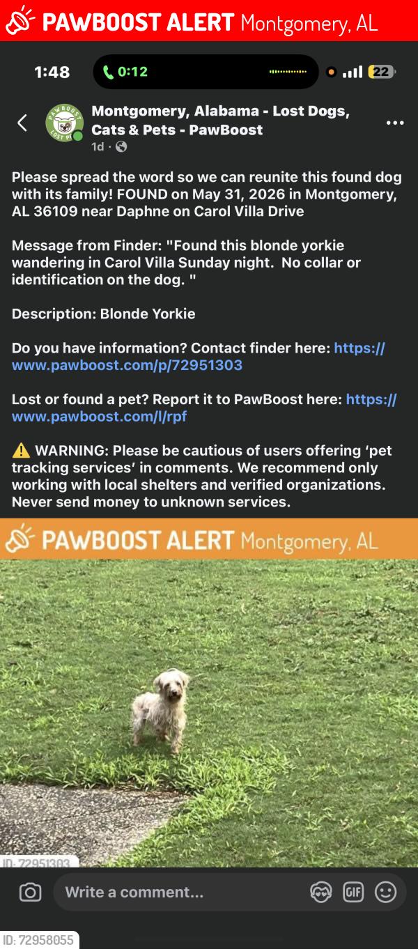 Lost Female Dog last seen Near Carol Villa Dr, Montgomery, AL 36109