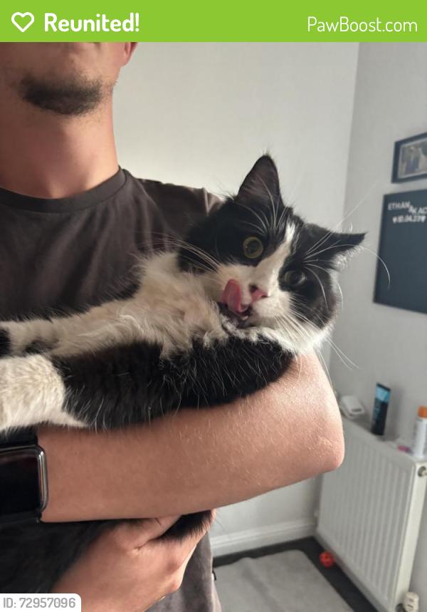 Reunited Male Cat last seen Dogsthorpe , Peterborough, England PE1 4QL