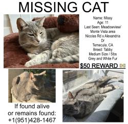 Lost Female Cat last seen Alexandria x Nicolas, Temecula, CA 92591