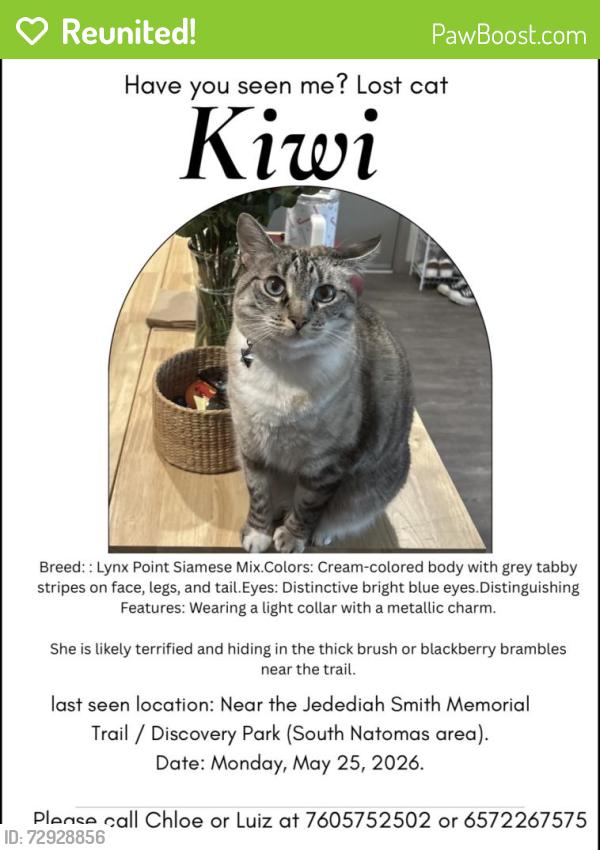 Reunited Female Cat last seen Last seen near the Jediah Smith Memorial Trail, discovery Park South in Natomas area, Sacramento, CA 95833