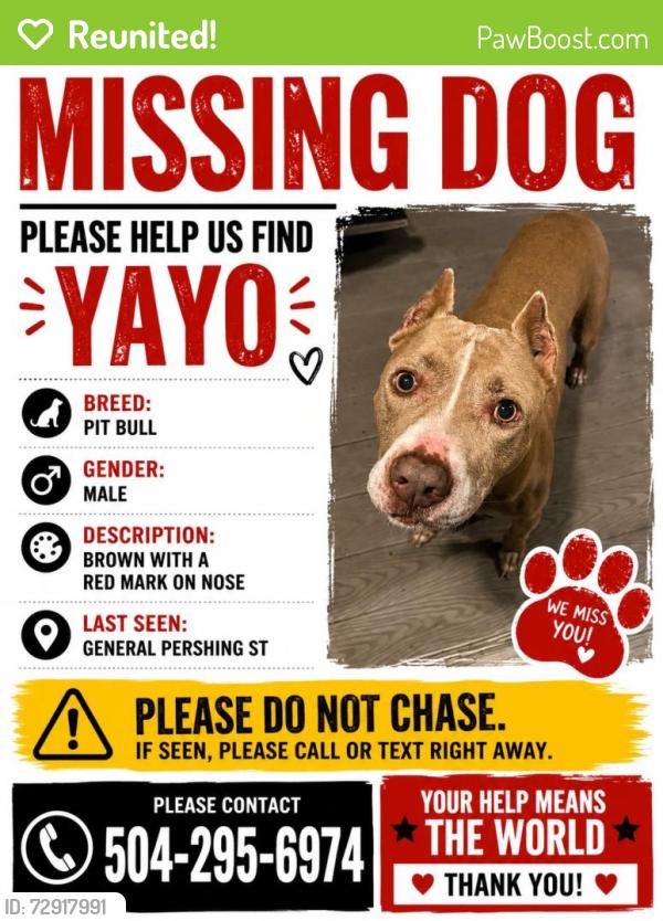 Reunited Male Dog last seen General Pershing , New Orleans, LA 70125