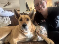 Reunited Male Dog last seen Quincy and Simms heading south on simms, Littleton, CO 80127