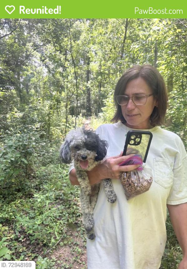 Reunited Male Dog last seen State fairgrounds, Jackson, MS 39202