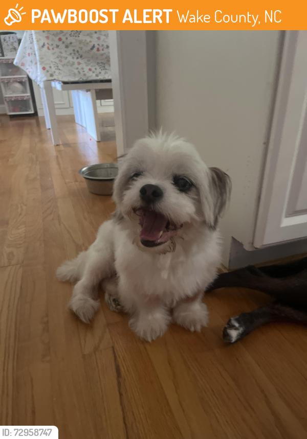 Found/Stray Male Dog last seen Near , Wake County, NC 27603