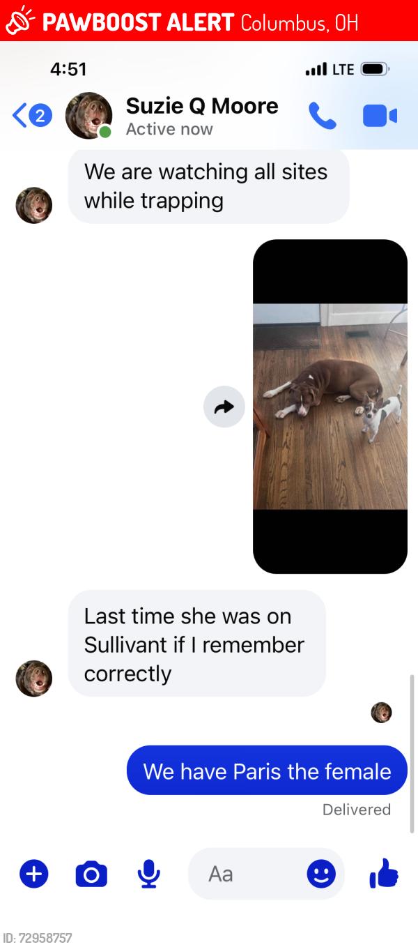 Lost Male Dog last seen W mound st Columbus Ohio, Columbus, OH 43204