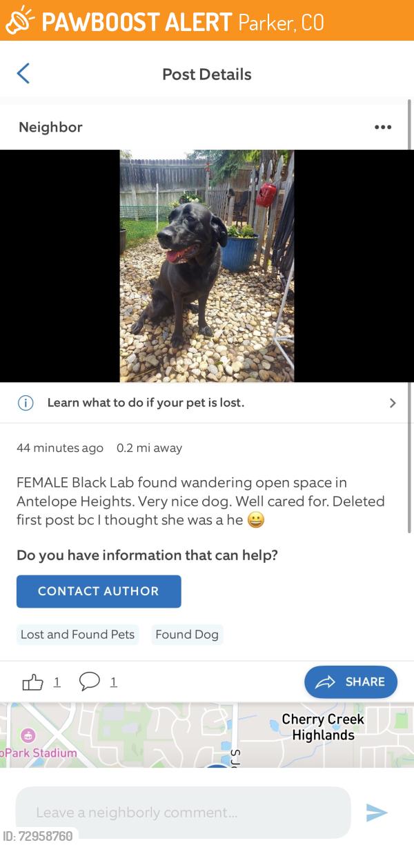 Found/Stray Female Dog last seen E black horn Dr and Jordan rd, Parker, CO 80134