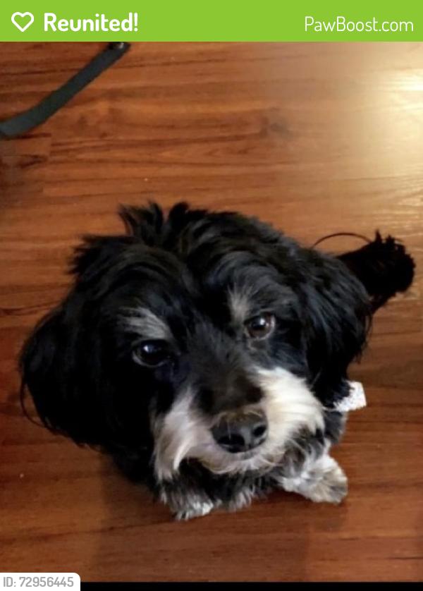 Reunited Male Dog last seen 69th by Morse hs, San Diego, CA 92114
