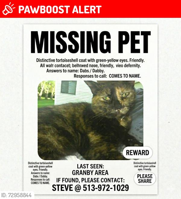 Lost Female Cat last seen  Kingsgate way, West Chester Township, OH 45069