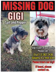 Reunited Female Dog last seen Apple Dale barkers crossing Ave , Houston, TX 77084